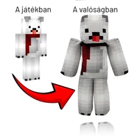 Kép 5/5 - Egyedi figura ( skines )