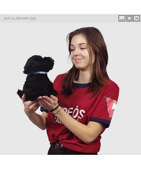 Jack a labrador figura ( alvóka )