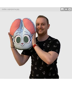 A Csótány Vadász Evryl párna