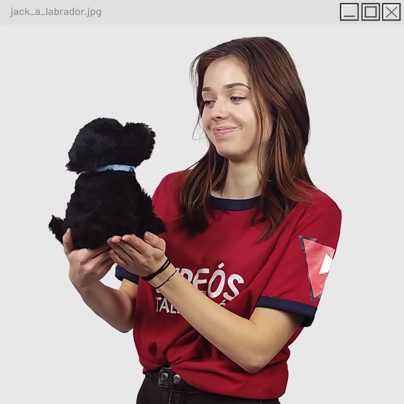 Jack a labrador figura