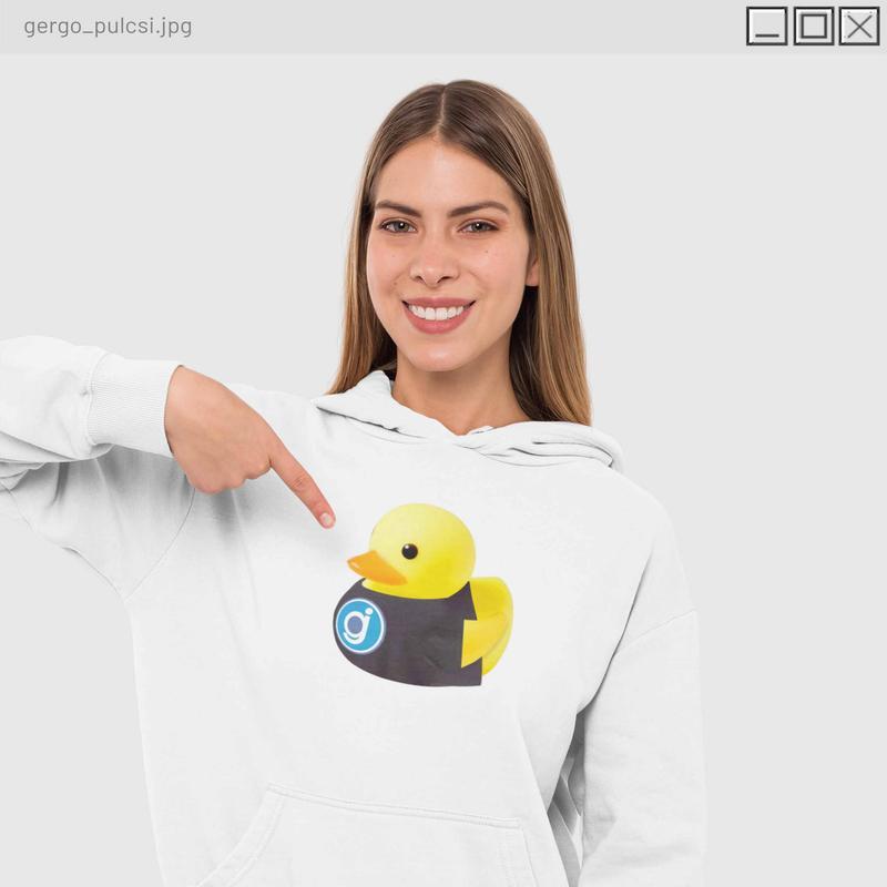 sokpulcsi_kacsa.jpg