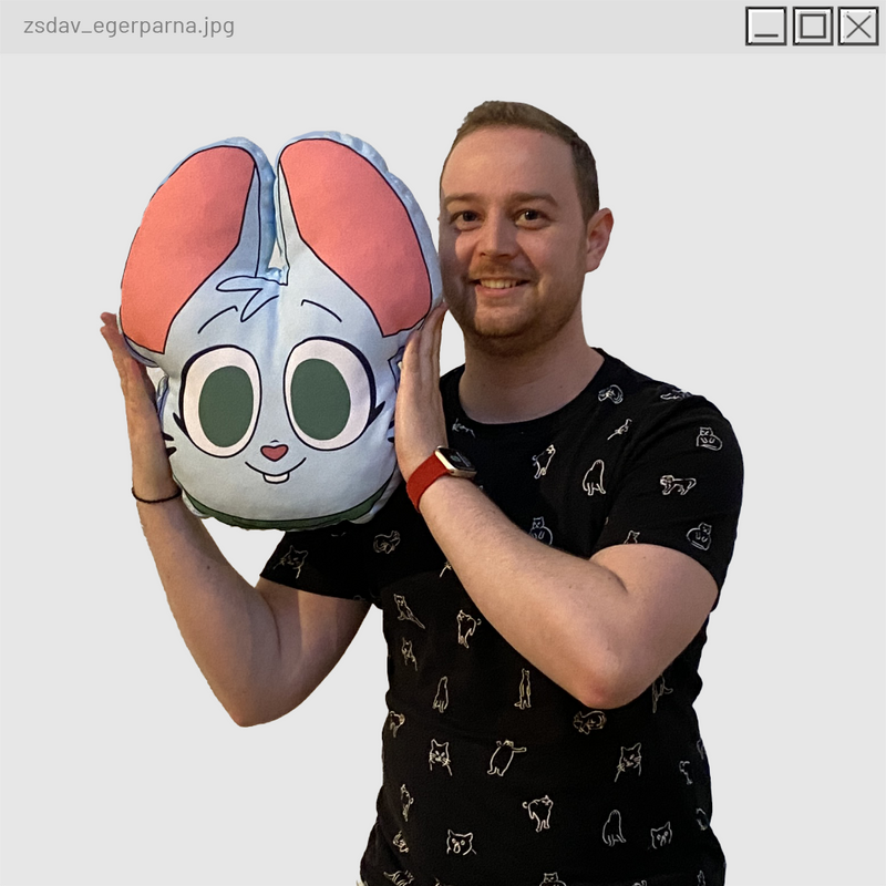 A Csótány Vadász Evryl párna
